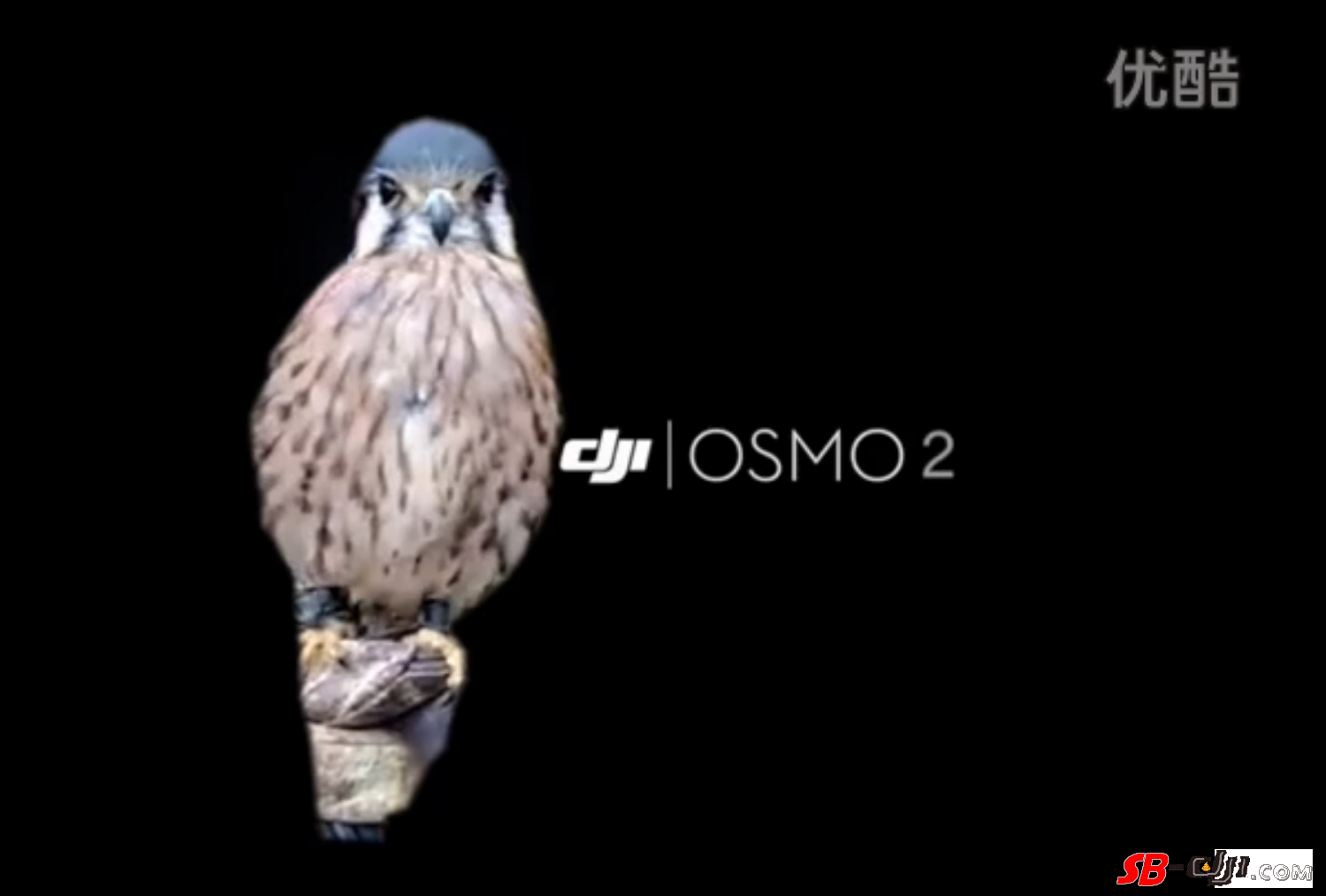 OSMO 2谍照流出，免充电，带减震！