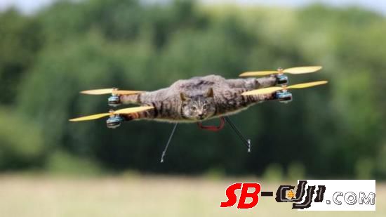 荷兰宠物猫无人机制造者又有了新想法：这次是奶牛飞行器