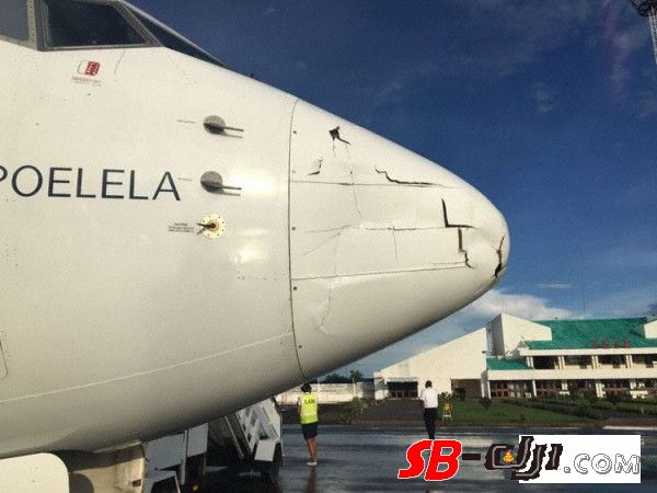 莫桑比克航空的波音737客机与无人机发生相撞 鼻锥受损