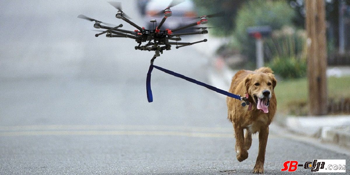 IBM申请无人机专利：为主人照看宠物