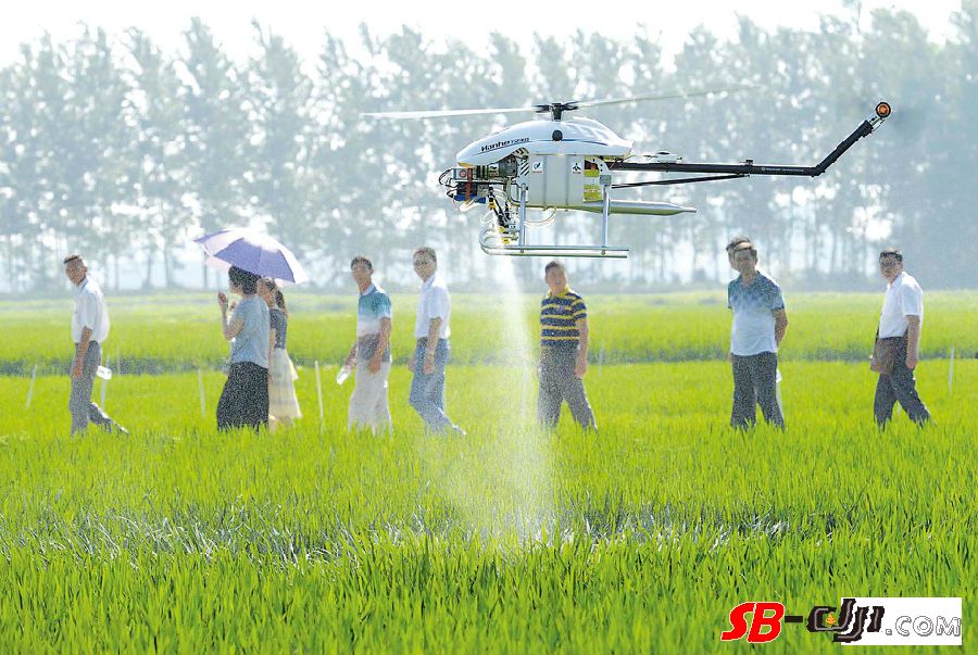 农业又出新技能 无人机飞向田间还有多远？