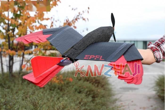 EPFL羽毛无人机改进版来了：能如同猛禽般翱翔天空