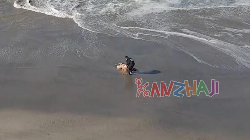 无人机飞手从大浪中救出女子，返航中录下视频