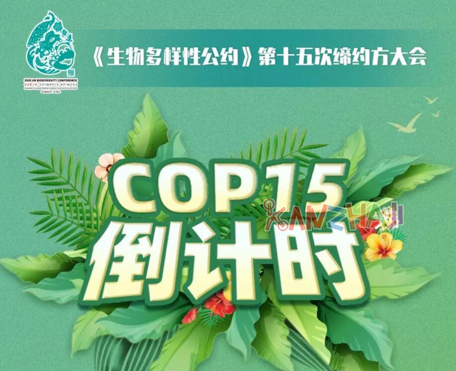 云南昆明：COP15大会举办期间禁止低慢小航空器进行飞行活动