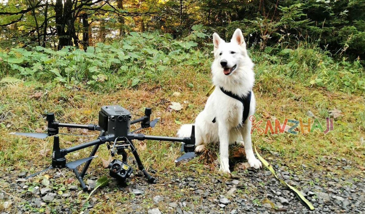 瑞士-DJI M300无人机用热成像找到失踪狗狗