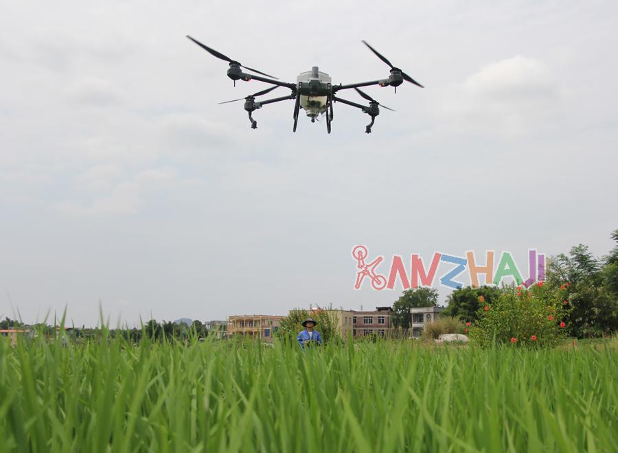 广西苍梧：无人机“护粮”保驾水稻丰收　