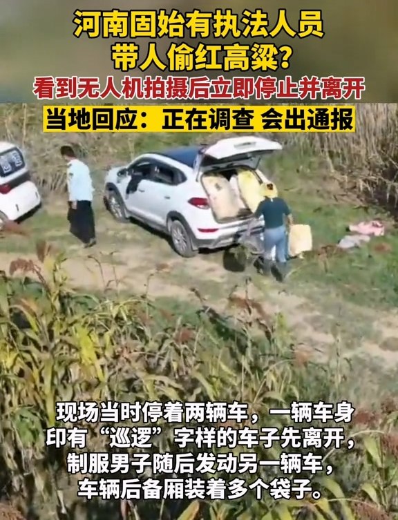 无人机拍到河南固始有执法人员带人偷红高粱？