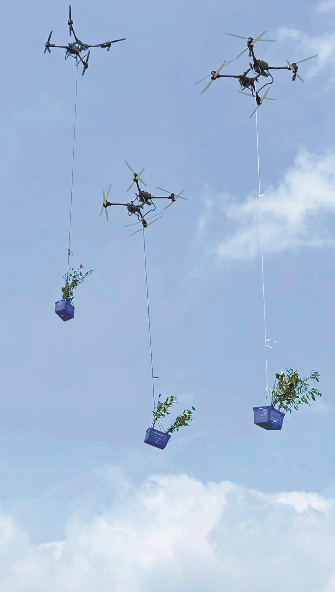 无人机“上岗”山地造林提效18倍 两个试点区已用无人机运输苗木约40万株、肥料约200吨
